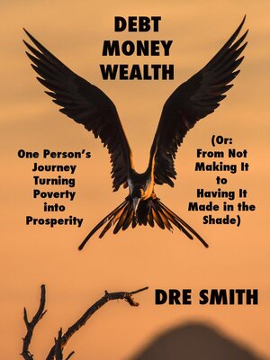 cover image of Debt, Money, Wealth
